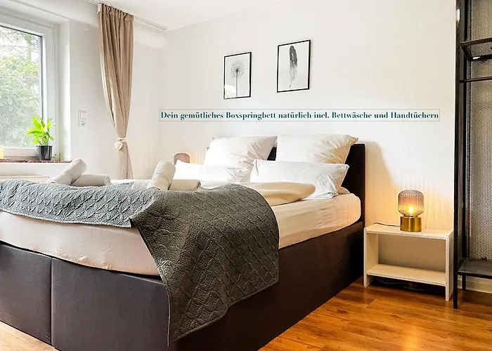 Modern With Netflix In 3*